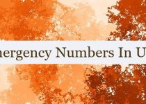 Emergency Numbers In UAE 🇦🇪