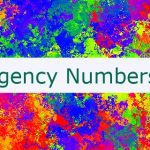 Emergency Numbers UAE 🇦🇪