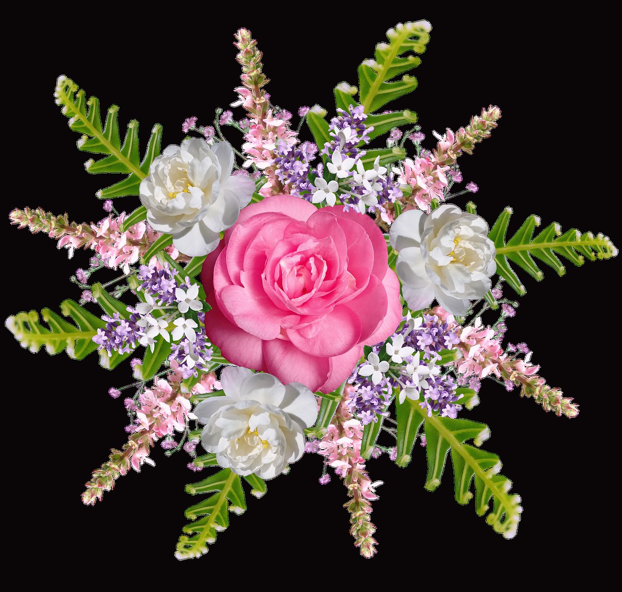 Ferns And Petals UAE Ferns And Petals UAE from PixaBay, user Buntysmum